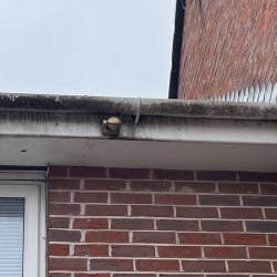 Roofers Bournemouth, Roofing Bournemouth, Roof Repairs Bournemouth, Flat Roofing Bournemouth, New Roofs Bournemouth, Roofing Company Bournemouth
