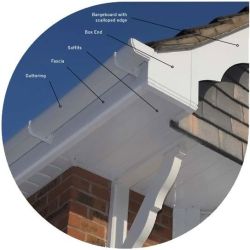 Roofers Bournemouth – Roofing Bournemouth – Roofers Bournemouth – Roof Repairs Bournemouth – Flat Roofing Bournemouth – New Roofs Bournemouth – Fibreglass Flat Roofing Bournemouth – Leading Roofing Bournemouth – Roofing Company Bournemouth – Roofers in Bournemouth – Bournemouth Roofing Company – Roofer Bournemouth - Roofers Bournemouth – Roofing Bournemouth – Roofers Bournemouth – Roof Repairs Bournemouth – Flat Roofing Bournemouth – New Roofs Bournemouth – Fibreglass Flat Roofing Bournemouth – Leading Roofing Bournemouth – Roofing Company Bournemouth – Roofers in Bournemouth – Bournemouth Roofing Company – Roofer Bournemouth